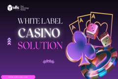White Label Casino Solution